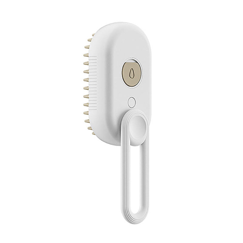Brosse à vapeur