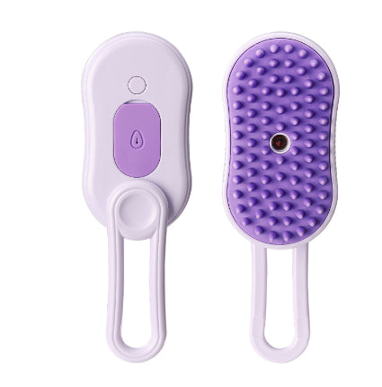 Brosse à vapeur